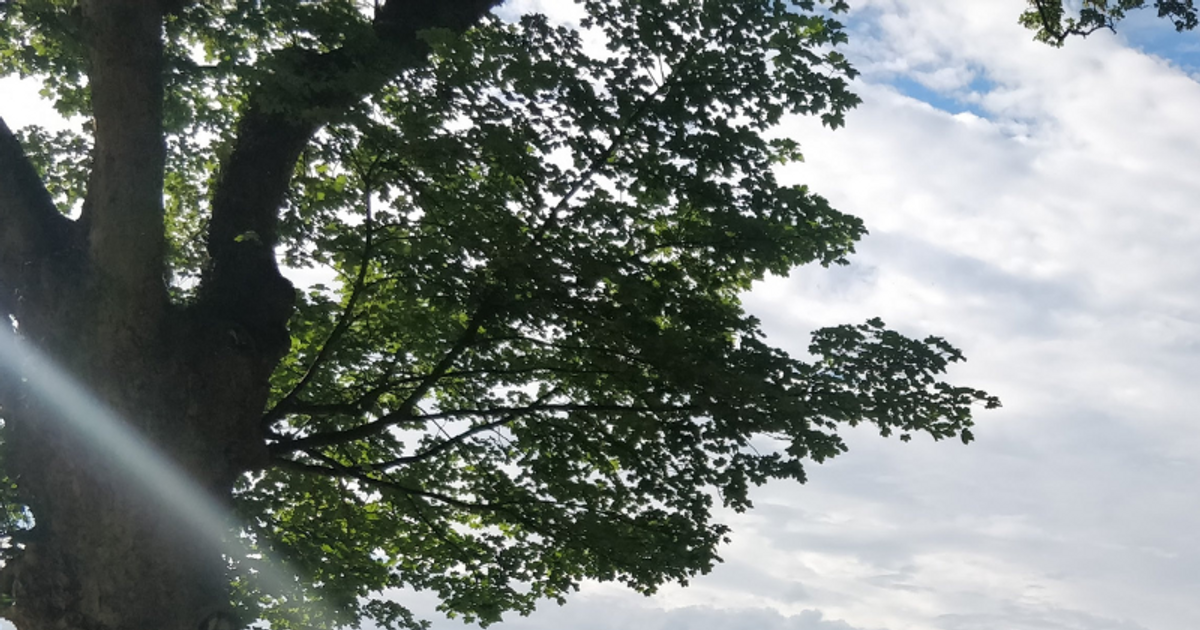 Warm Weather Cycling Tips Clancy Briggs Academy